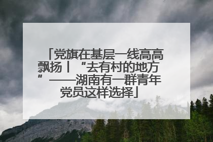 党旗在基层一线高高飘扬丨“去有村的地方”——湖南有一群青年党员这样选择