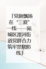 党旗飘扬在“三夏”一线——宛城区溧河街道党群合力筑牢禁烧防线