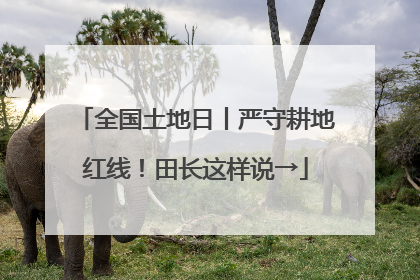 全国土地日丨严守耕地红线！田长这样说→