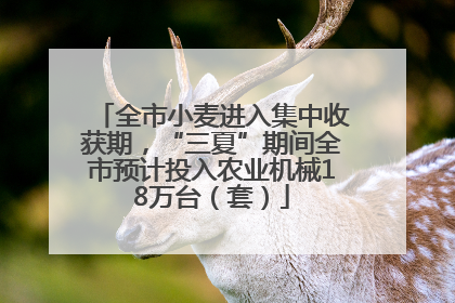 全市小麦进入集中收获期，“三夏”期间全市预计投入农业机械18万台（套）