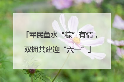 军民鱼水“粽”有情，双拥共建迎“六一”