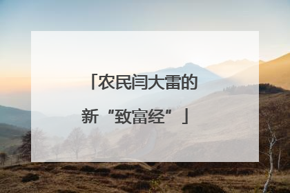 农民闫大雷的新“致富经”