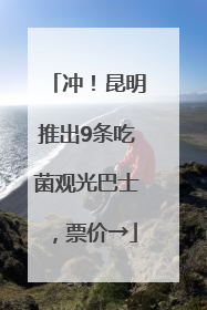 冲！昆明推出9条吃菌观光巴士，票价→