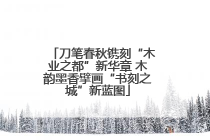 刀笔春秋镌刻“木业之都”新华章 木韵墨香擘画“书刻之城”新蓝图