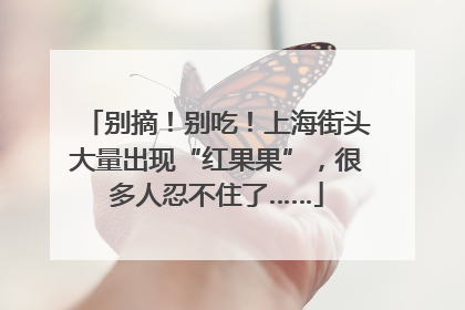 别摘！别吃！上海街头大量出现“红果果”，很多人忍不住了……