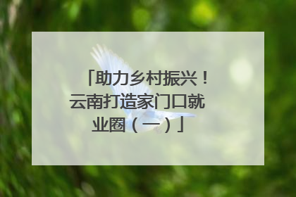 助力乡村振兴！云南打造家门口就业圈（一）