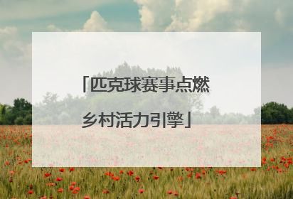 匹克球赛事点燃乡村活力引擎