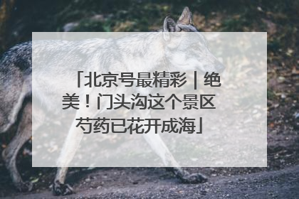 北京号最精彩｜绝美！门头沟这个景区芍药已花开成海