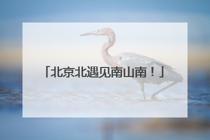 北京北遇见南山南！