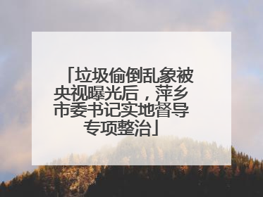 垃圾偷倒乱象被央视曝光后，萍乡市委书记实地督导专项整治