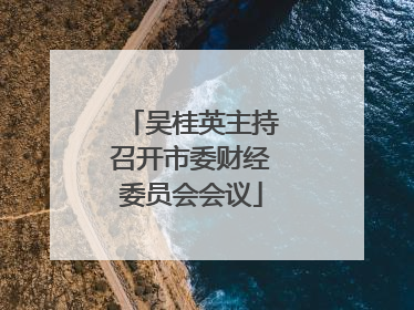 吴桂英主持召开市委财经委员会会议