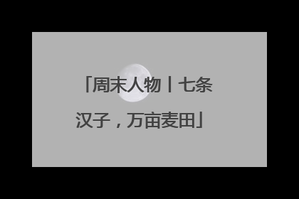 周末人物丨七条汉子，万亩麦田