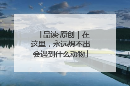 品读·原创｜在这里，永远想不出会遇到什么动物