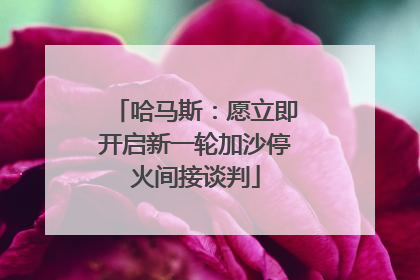 哈马斯：愿立即开启新一轮加沙停火间接谈判
