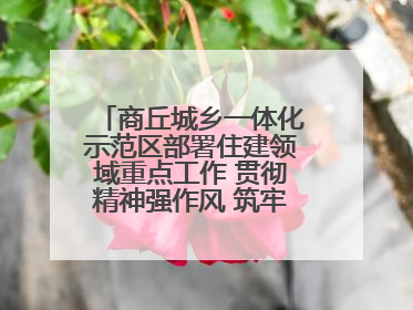 商丘城乡一体化示范区部署住建领域重点工作 贯彻精神强作风 筑牢民生底线促发展