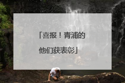 喜报！青浦的他们获表彰