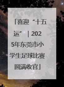 喜迎“十五运”｜2025年东莞市小学生足球比赛圆满收官