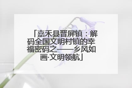 嘉禾县晋屏镇：解码全国文明村镇的幸福密码之——乡风如画·文明领航