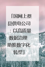 国网上蔡县供电公司：以高质量数据治理 助推数字化转型
