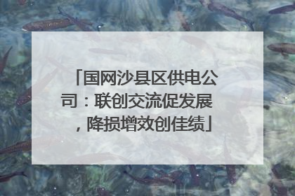 国网沙县区供电公司：联创交流促发展，降损增效创佳绩