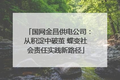 国网金昌供电公司：从积淀中破茧 蝶变社会责任实践新路径