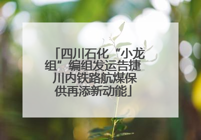 四川石化“小龙组”编组发运告捷 川内铁路航煤保供再添新动能