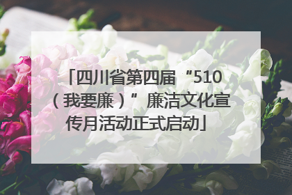 四川省第四届“510（我要廉）”廉洁文化宣传月活动正式启动