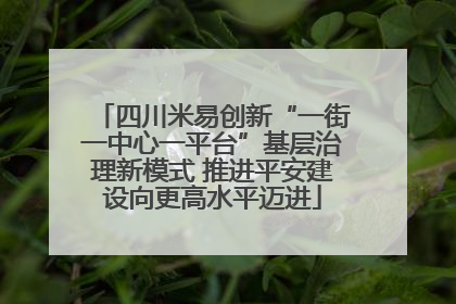 四川米易创新“一街一中心一平台”基层治理新模式 推进平安建设向更高水平迈进