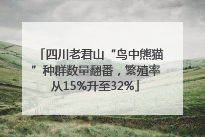 四川老君山“鸟中熊猫”种群数量翻番，繁殖率从15%升至32%