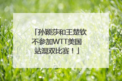 孙颖莎和王楚钦不参加WTT美国站混双比赛！