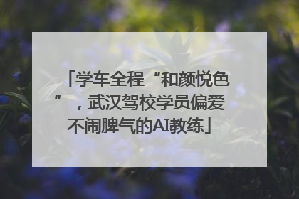学车全程“和颜悦色”，武汉驾校学员偏爱不闹脾气的AI教练