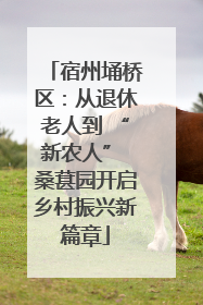 宿州埇桥区：从退休老人到 “新农人” 桑葚园开启乡村振兴新篇章