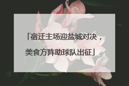 宿迁主场迎盐城对决，美食方阵助球队出征