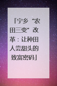 宁乡“农田三变”改革：让种田人尝甜头的致富密码