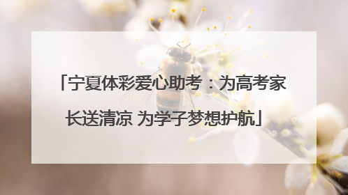宁夏体彩爱心助考：为高考家长送清凉 为学子梦想护航