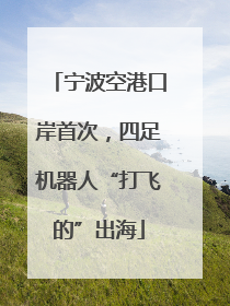 宁波空港口岸首次，四足机器人“打飞的”出海