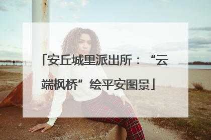 安丘城里派出所：“云端枫桥”绘平安图景