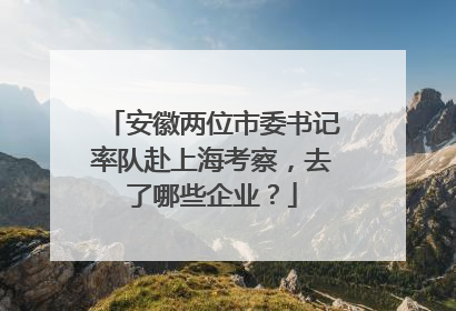 安徽两位市委书记率队赴上海考察，去了哪些企业？