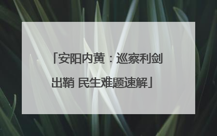 安阳内黄：巡察利剑出鞘 民生难题速解