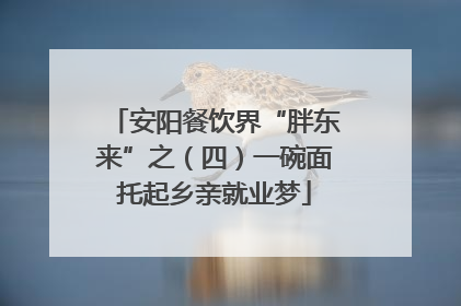安阳餐饮界“胖东来”之（四）一碗面托起乡亲就业梦