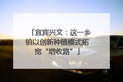 宜宾兴文：这一乡镇以创新种植模式拓宽“增收路”