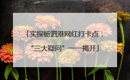 实探杨泗港网红打卡点：“三大疑问”一一揭开