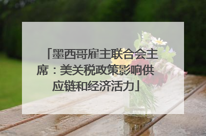 墨西哥雇主联合会主席：美关税政策影响供应链和经济活力