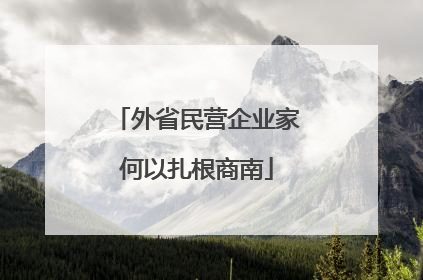 外省民营企业家何以扎根商南