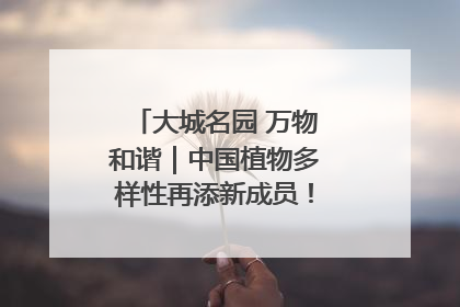大城名园 万物和谐｜中国植物多样性再添新成员！它只在西藏墨脱