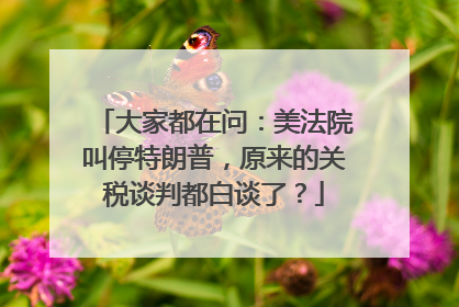 大家都在问：美法院叫停特朗普，原来的关税谈判都白谈了？