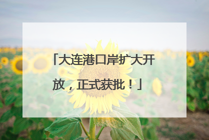 大连港口岸扩大开放，正式获批！