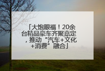 大饱眼福！20余台精品豪车齐聚嘉定，推动“汽车+文化+消费”融合