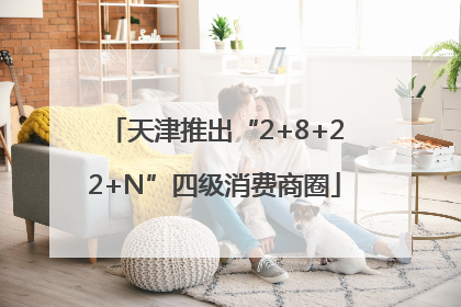 天津推出“2+8+22+N”四级消费商圈