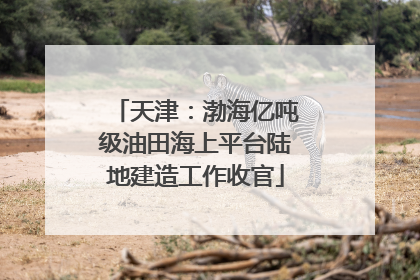 天津：渤海亿吨级油田海上平台陆地建造工作收官